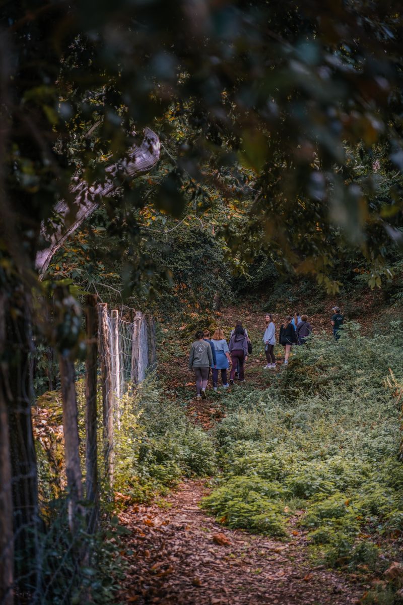 Tuscany Retreat photo 9