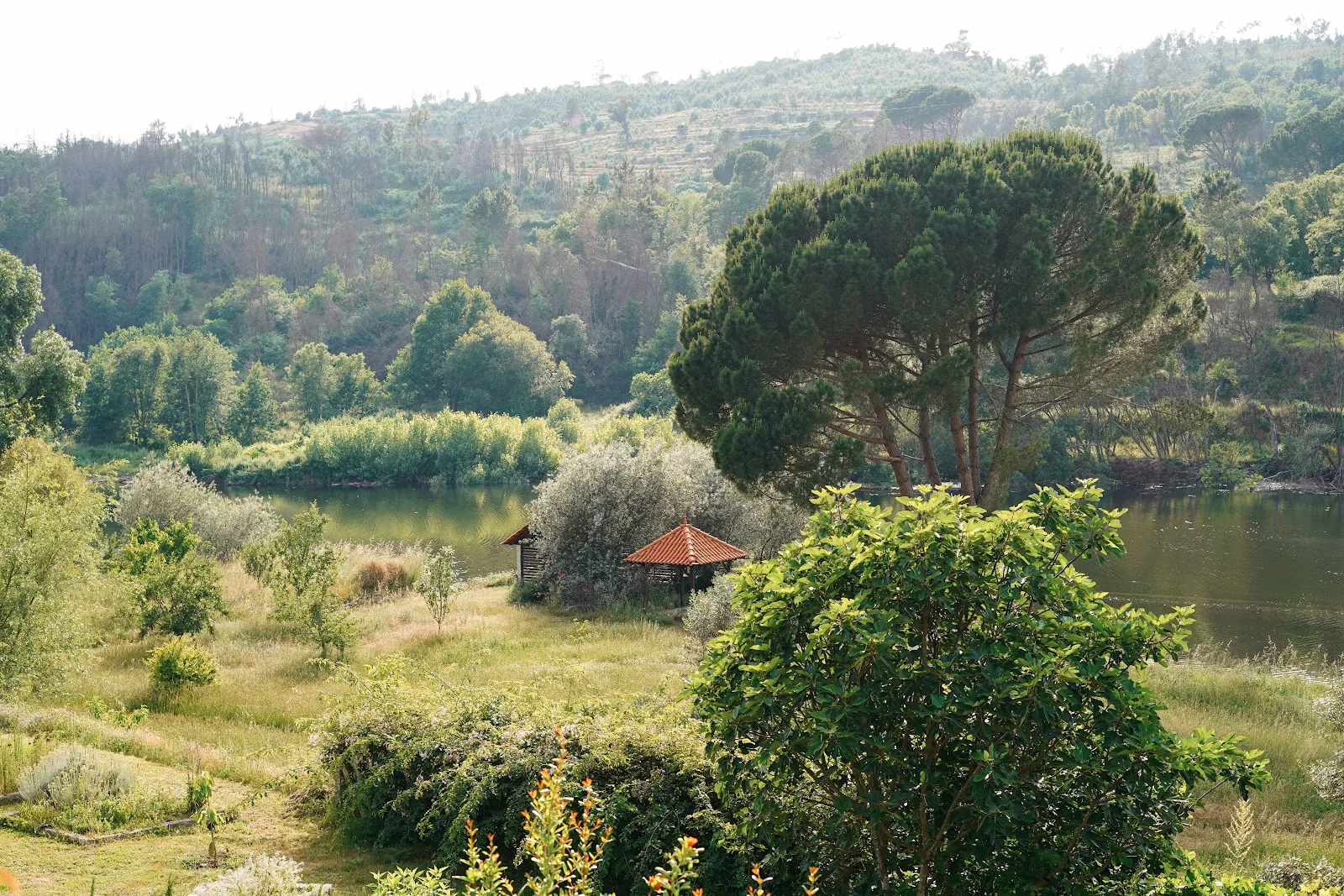 Douro Valley Retreat, Portugal photo 13