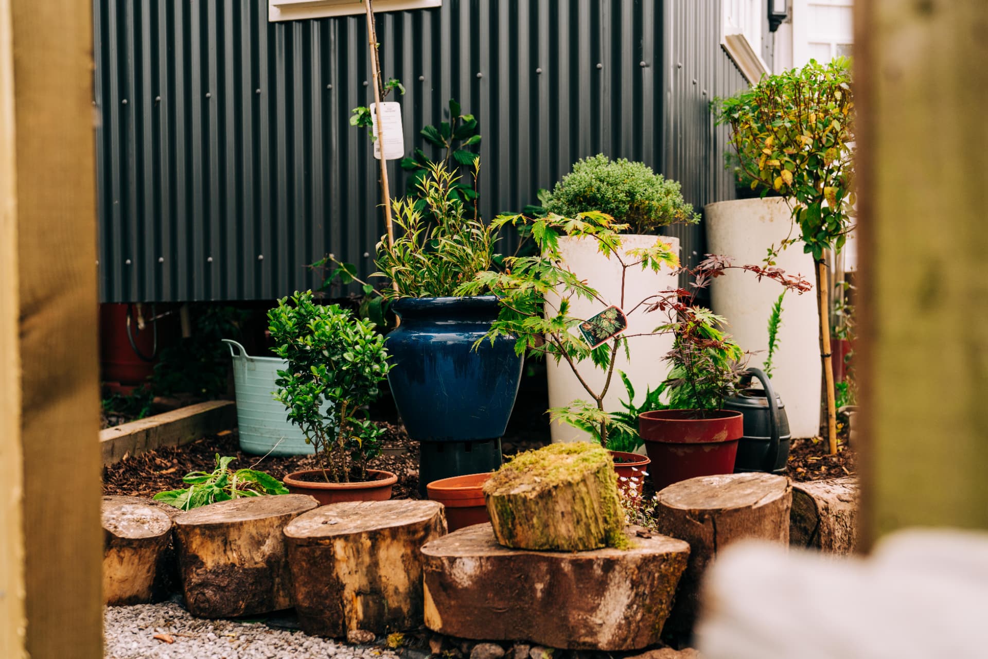 Potted plants and log seats beside the shepherd's hut
